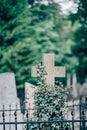 Vertical picture of old stone cross on grave or cementary. Daylight and green trees on blurred background. Royalty Free Stock Photo