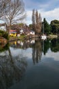 Vertical picture of a reflection of a white boat and trees at daytime