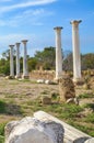 Vertical picture of the ruins of ancient city Salamis near Famagusta in Northern Cyprus