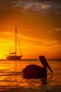 Vertical picture of a silhouette of a pelican on the water against a blurry orange sunset