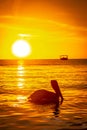 Vertical picture of a silhouette of a pelican on the water against a blurry orange sunset