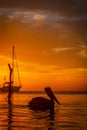 Vertical picture of a silhouette of a pelican on the water against a blurry orange sunset