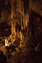 Vertical picture of stalagmites and stalactites in Aven dOrgnac cavern in Ardeche departement, France. Famous speleology travel