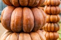 Vertical pile orange big pumpkin ribbed vegetable tower close-up art vegetable