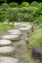 Vertical pine tree, stone road in Japanese zen garden