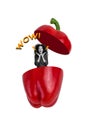 Vertical placard collage of funny young lady surprised inside cutted half red pepper vegan eating vitamins isolated on