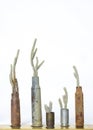 Vertical Plants in Close Up Bud Vases made of Bullet Casings Royalty Free Stock Photo