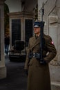 Vertical of a Polish soldier guarding the Tomb of the Unknown Soldier in Warsaw, Poland