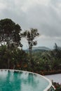 Vertical of a pool with the view of a jungle on a cloudy day
