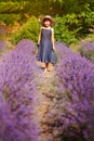 Vertical portrait of happy cute little girl wearing blue dress and white hat and walking in lavender field with violet flowers Royalty Free Stock Photo