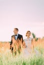 Vertical portrait of the newlyweds holding hands among the wheatears. Royalty Free Stock Photo