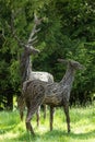 Vertical portrait of red stags from wicker