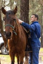 Vertical portrait of a young Caucasian farmer putting the saddle on his horse on his farm