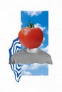 Vertical poster collage of guy tomato instead head isolated on drawing white color background