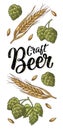 Ears of barley, leaves and cones of hops engraving. Craft Beer lettering.