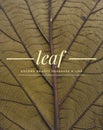 Vertical poster 'leaf golden beauty deserves a like'