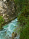 VERTICAL: Pristine river flows down a gorge in the tranquil forest in Slovenia.