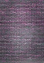 Vertical purple brick wall background, wallpaper. Purple bricks pattern, texture Royalty Free Stock Photo