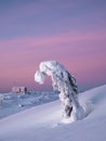 Vertical purple minimalistic background with a snow-covered lonely tree on a mountain slope with red frozen cabin. Magical bizarre