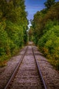 Vertical of a railway, rail tracks going through leafy green trees of a forest Royalty Free Stock Photo