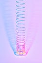 Vertical rainbow plastic slinky toy with two color shadows.