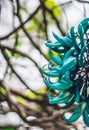 VERTICAL Real beauty nature background. Strongylodon macrobotrys emerald turquoise jade woody vine tayabak, leguminous Royalty Free Stock Photo