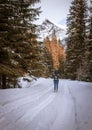 Vertical of rear of a female walking on a snowy path in Tara national park, Serbia