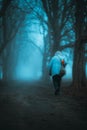 Vertical rear view of person walking in park alley surrounded by trees on foggy autumn day