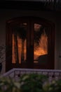 Vertical of the reflection of palms at sunset on the window. Royalty Free Stock Photo