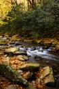 Vertical River With Autumn Leaves Smoky Mountains National Park Royalty Free Stock Photo