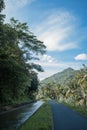 Vertical of a road near a flowing river, palm trees around,cloudy sky background