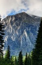 Vertical rock face over trees in Piave valley Carnic Alps Italy