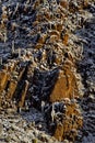 Vertical rock ridge, saguaros, and desert snow in Southern Arizona