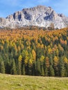 VERTICAL: Rocky mountain in Dolomites towers above scenic forest turning leaves.