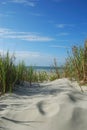 Vertical Scenic Beach dunes
