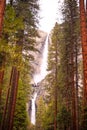 Vertical Scenic Landscape With Waterfall, Rocks And Large Sequoia In Yosemite Valley, Yosemite National Park, California, USA.