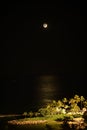 Vertical scenic night view of the island with tropical palm trees and a crescent moon in a dark sky Royalty Free Stock Photo