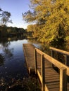 Autumn Leaves, Old North Bridge and Reflections in Rippling Water in Concord, MA, New England Royalty Free Stock Photo