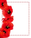 Vertical Script Frame Decorated with Poppy Wreath.