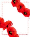 Vertical Script Frame Decorated with Poppy Wreaths.