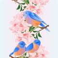 Vertical seamless background border small birds Bluebirds thrush and light pink rhododendrons branch watercolor vintage vector