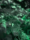 Vertical selective focus shot of beautiful structured fern leaves