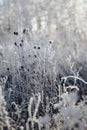 Vertical selective focus shot of frozen flowers in a forest