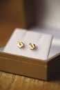 Vertical selective focus shot of gold earrings in jewelry box on blurry background Royalty Free Stock Photo