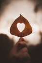 Vertical selective focus shot of a hand holding a dry leaf with a heart-shaped hole Royalty Free Stock Photo
