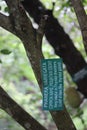 Vertical selective focus shot of Phanera Variegata sign on a tree branch in a botanical garden