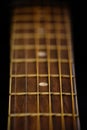 Vertical selective focus shot of strings and fretboard of acoustic guitar