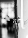 Vertical shallow focus grayscale shot of keys in a door lock Royalty Free Stock Photo