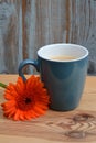 Vertical shallow focus shot of an orange Barberton Daisy flower lying next to a blue mug of coffee Royalty Free Stock Photo