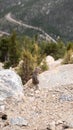 Vertical shallow focus shot of a rock squirrel (Otospermophilus variegatus) at the edge of a cliff Royalty Free Stock Photo